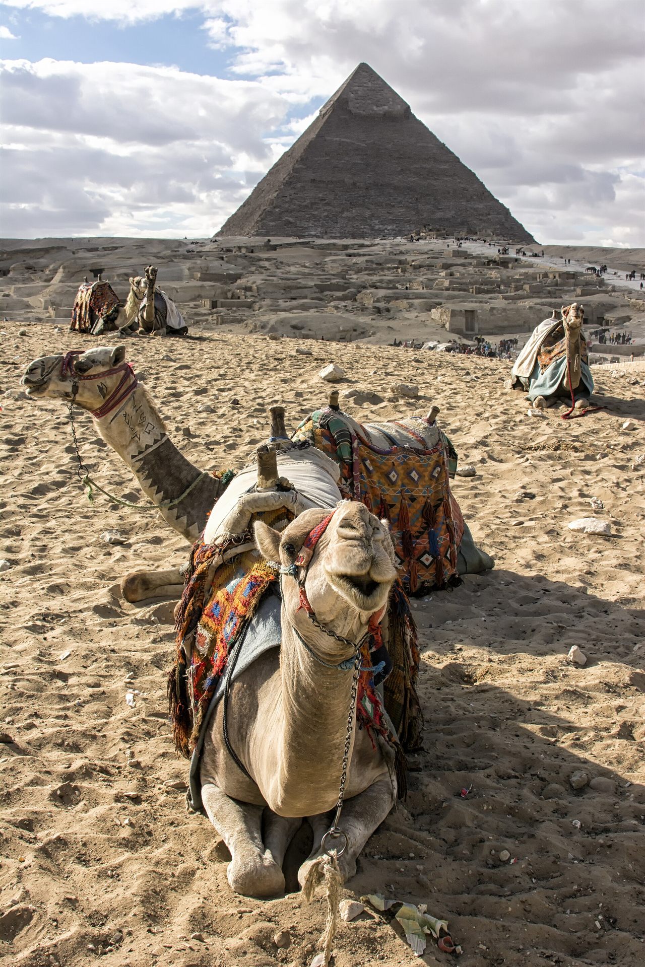 Cairo and Giza